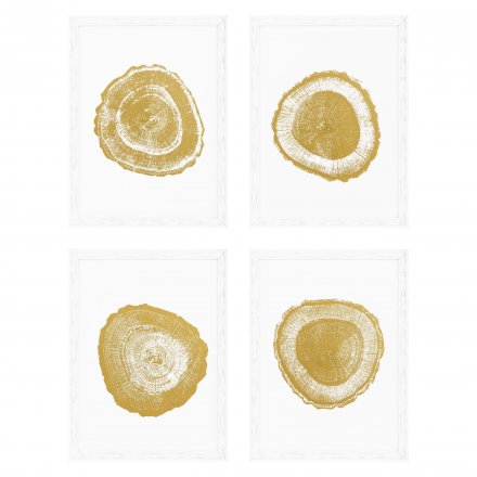 Kpl. Obrazów Prints Gold Foil: Tree Rings set of 4 EICHHOLTZ