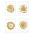 Kpl. Obrazów Prints Gold Foil: Tree Rings set of 4 EICHHOLTZ