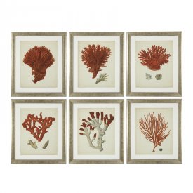 Obraz Prints Antique Red Corals Set of 6 EICHHOLTZ