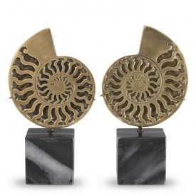 Dekoracja Object Ammonite Set of 2 EICHHOLTZ